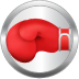 Icon 2